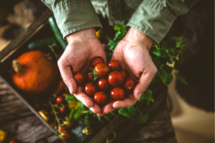 Farm-to-Table Restaurants - Northeast Ohio - Cutler Real Estate